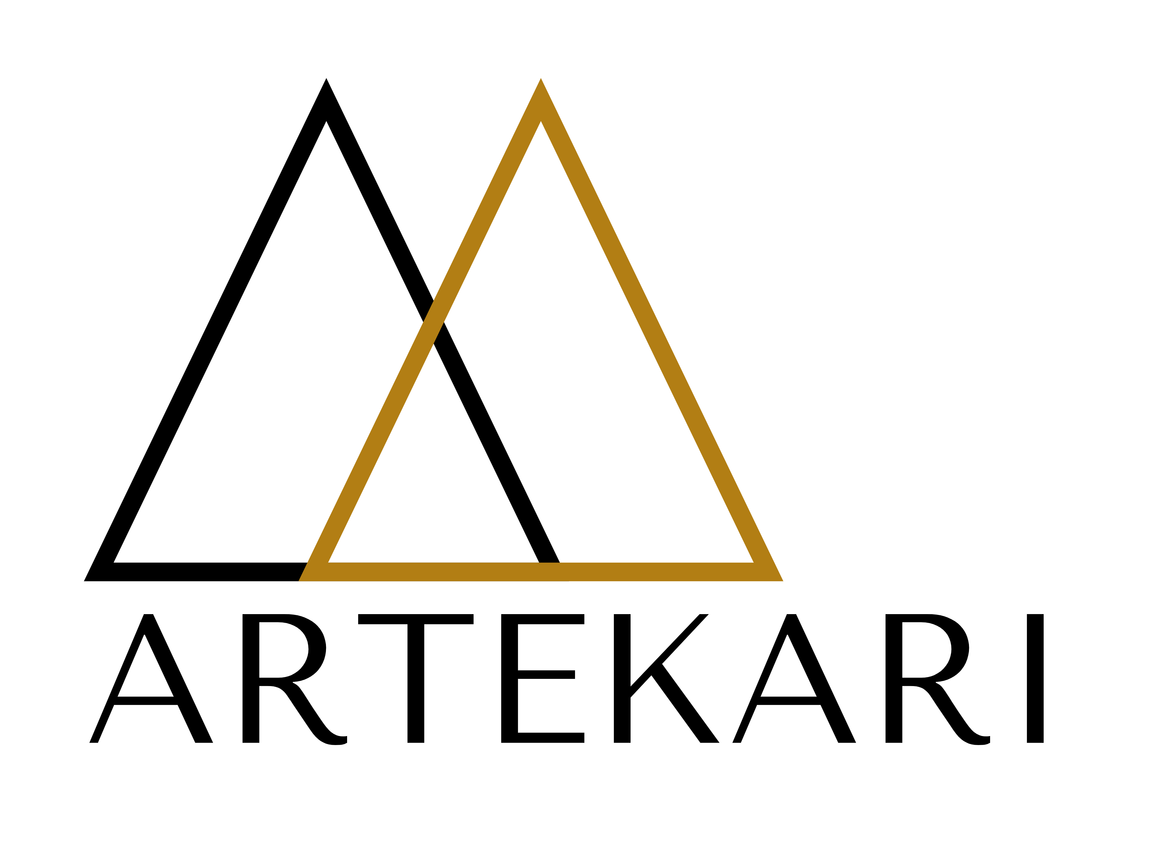 Cabinet Artekari Assurances